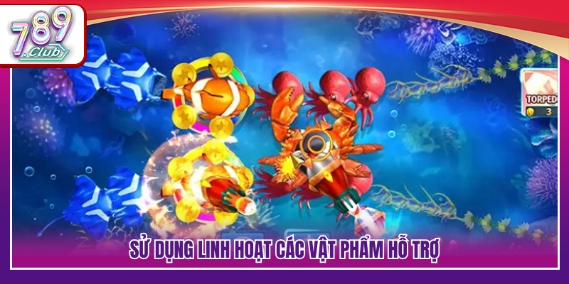 Tận dụng item để gia tăng hiệu quả săn cá