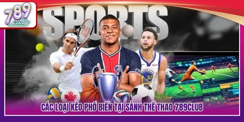 Danh mục kèo cược được áp dụng rộng rãi