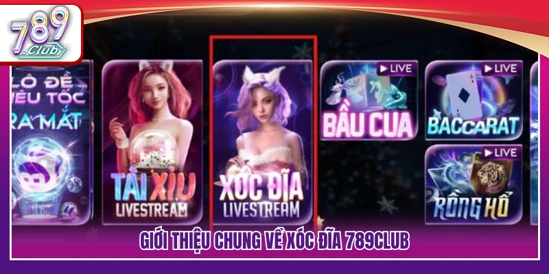 Cách tham gia xóc đĩa 789Club dành cho tân binh